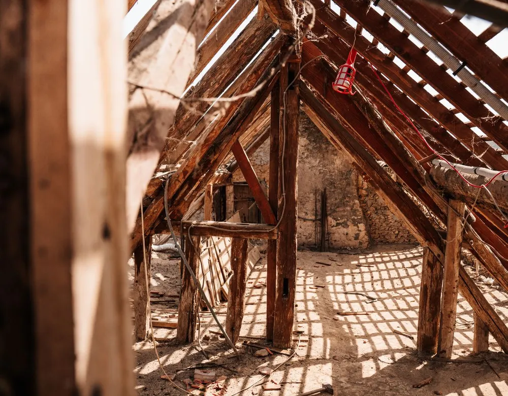 Exposed timber roof rafters, a key area in a timber pest inspection